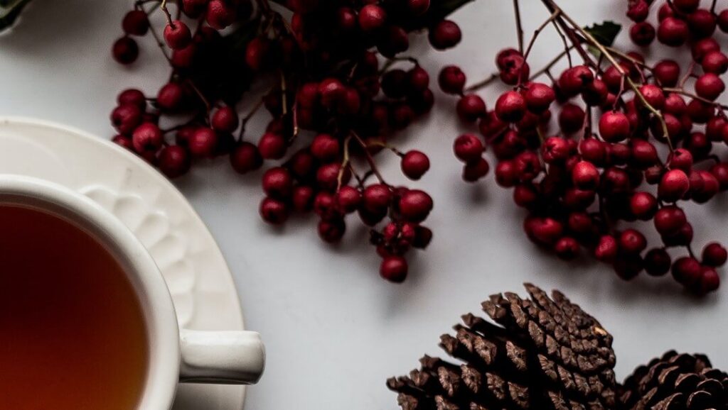 Pine cones, red berries and a cup of tea