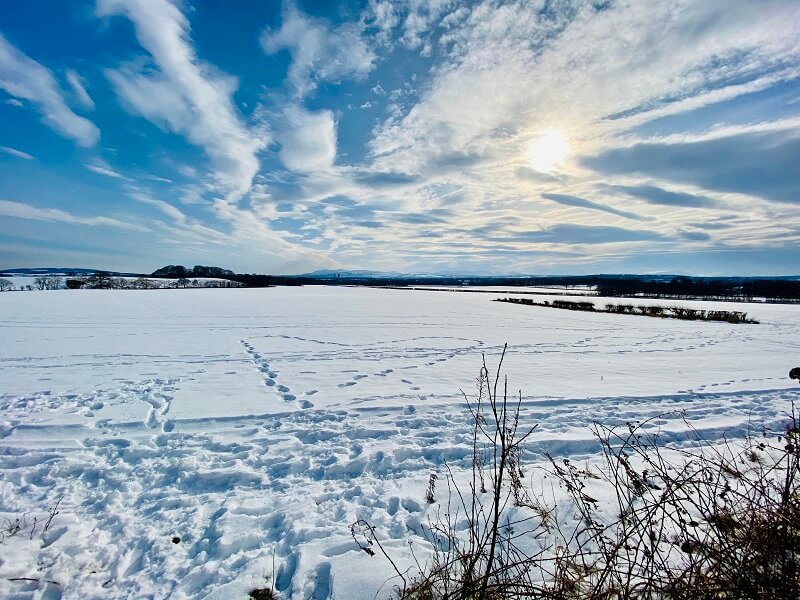 Snowy fields and sunny skies