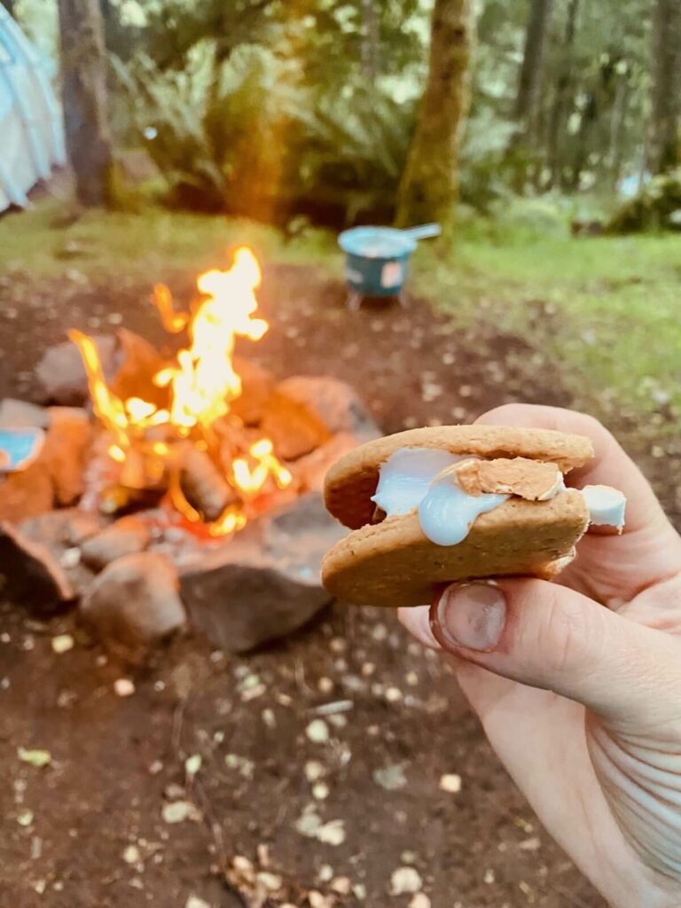 Hand holding s'more beside campfire